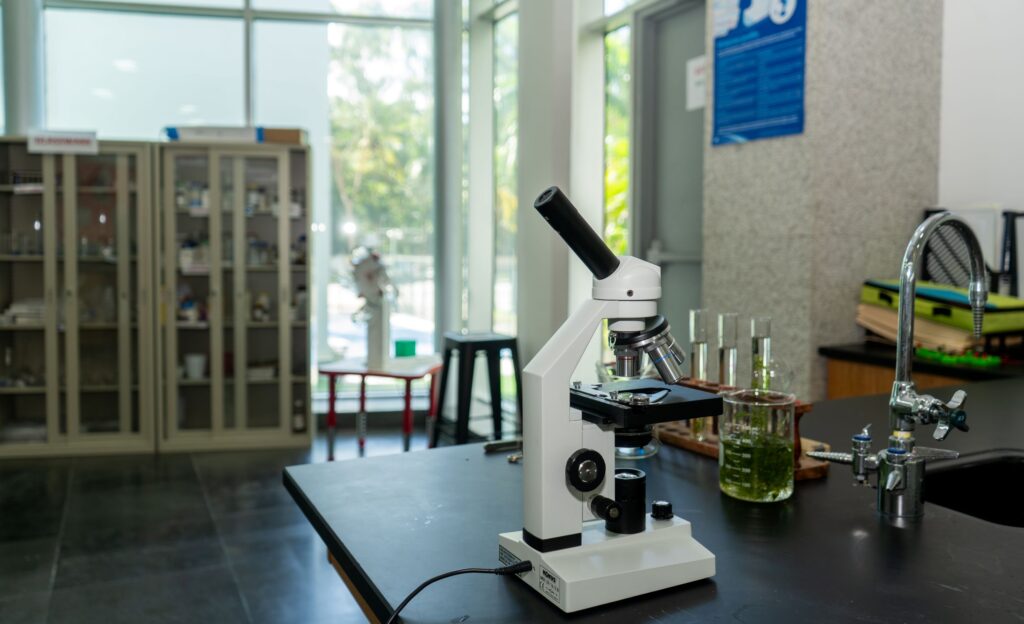 Boston School International Panama 6