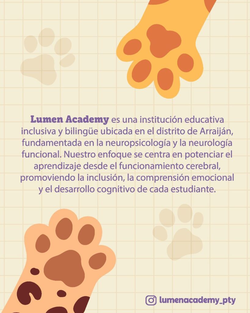 Lumen Academy 2